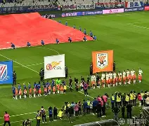 爱游戏体育-海盗港湾16天简单图解