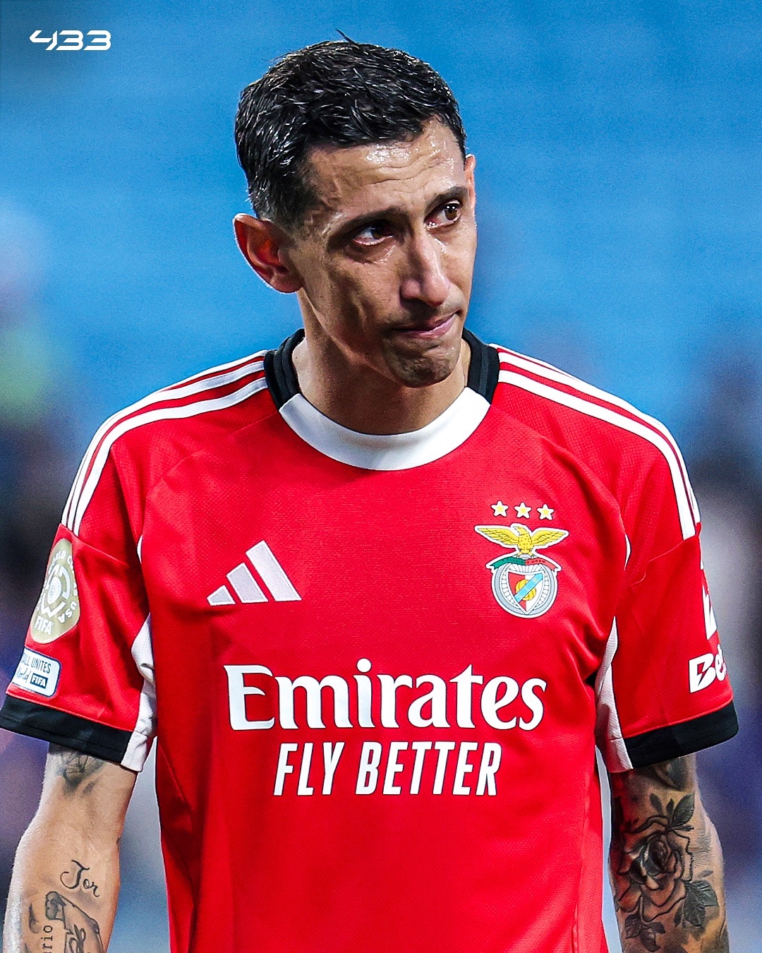 葡超波尔蒂芒vs本菲卡